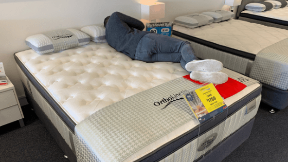 pull out guest bed with mattress