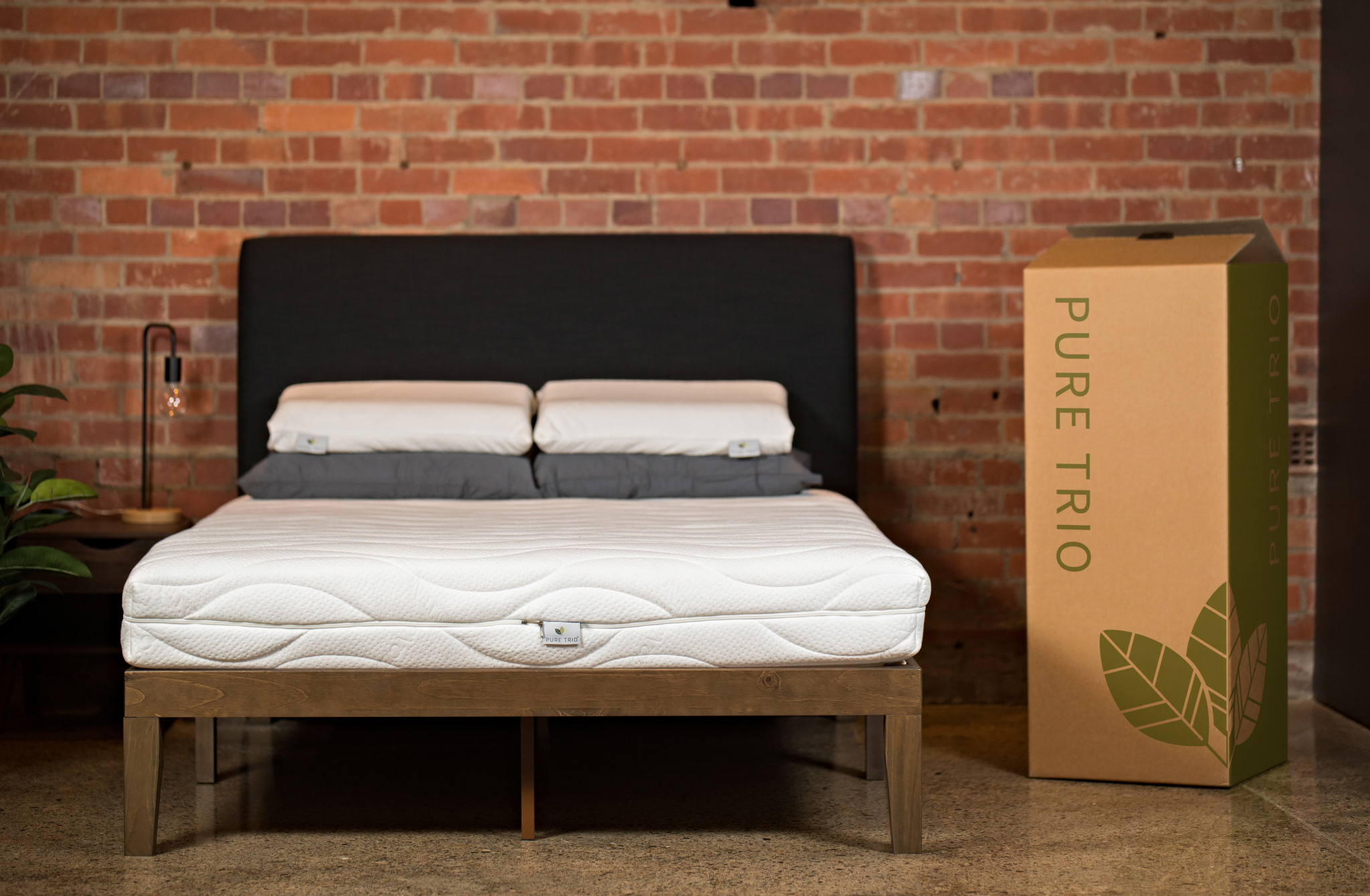 pure trio latex mattress